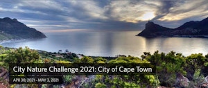City Nature Challenge Cape Town 2021 City Nature Challenge Cape Town 2021